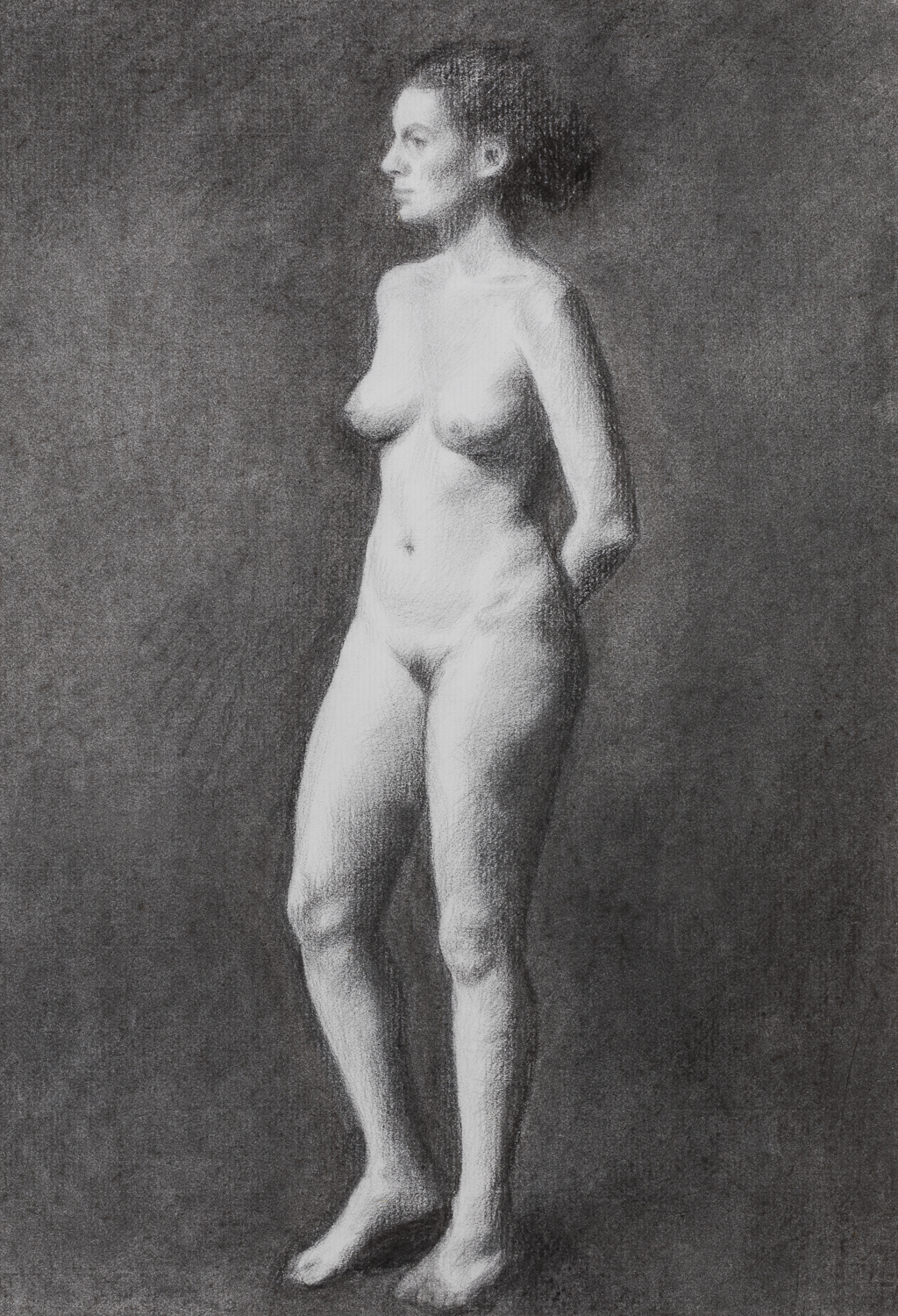 Standing charcoal nude